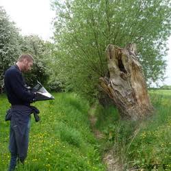 A male ecologist documenting an ecological impact appraisal.
