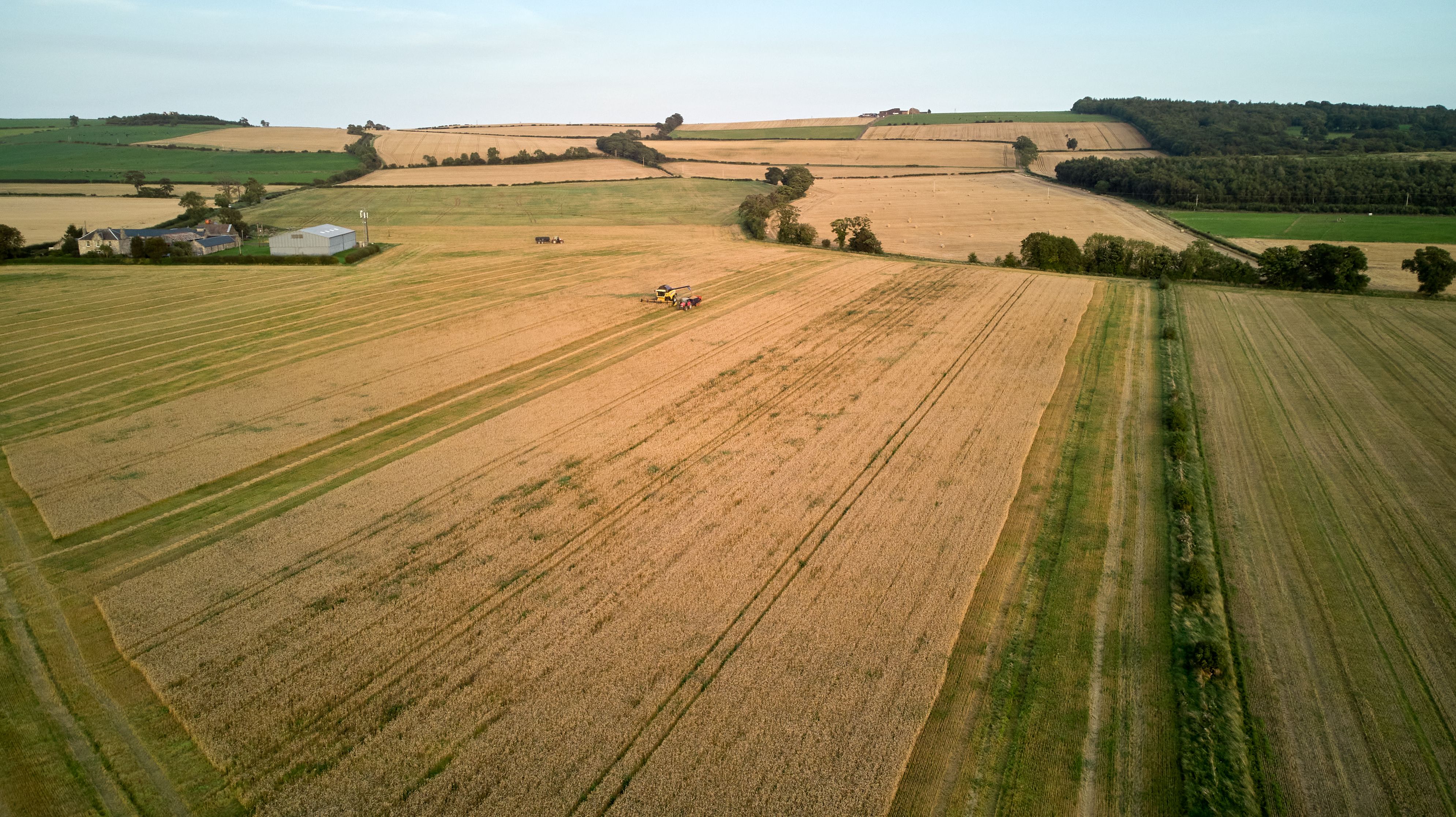 Ariel shot of field with farm buildings
