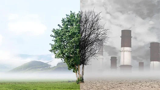 1 image split in two, fresh healthy air on the left poluted air on the right One image split into two