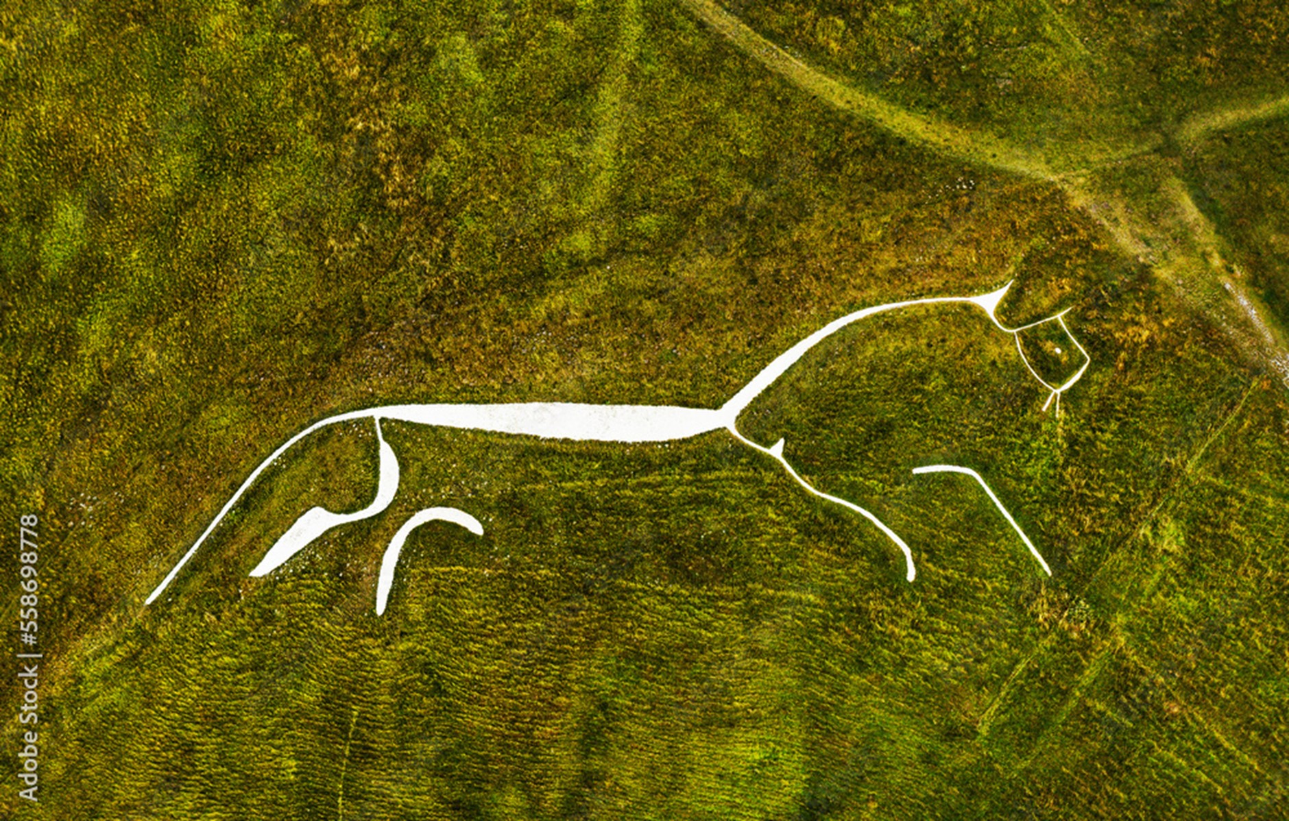 Chalk Horse in Hill Side Rural Berkshire