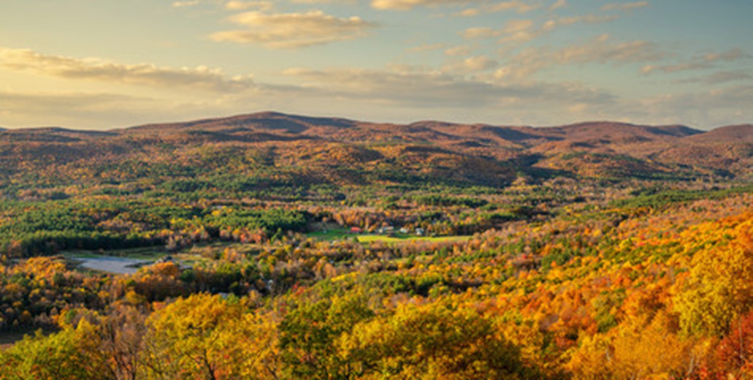 Rural Berkshire