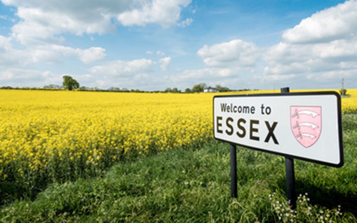 Road sign saying welcome to essex with rapeseed fields